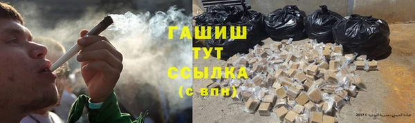 прущие крисы Тында