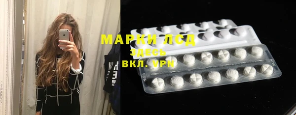 прущие крисы Тында