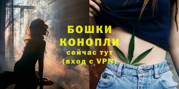 прущие крисы Тында