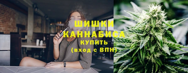 прущие крисы Тында