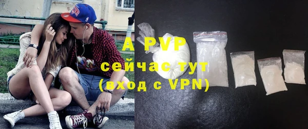 PSILOCYBIN Усмань