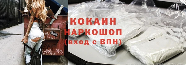 прущие крисы Тында