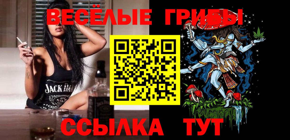 Псилоцибиновые грибы мицелий  Вход с VPN  Севастополь  Псилоцибиновые грибы Psilocybe 